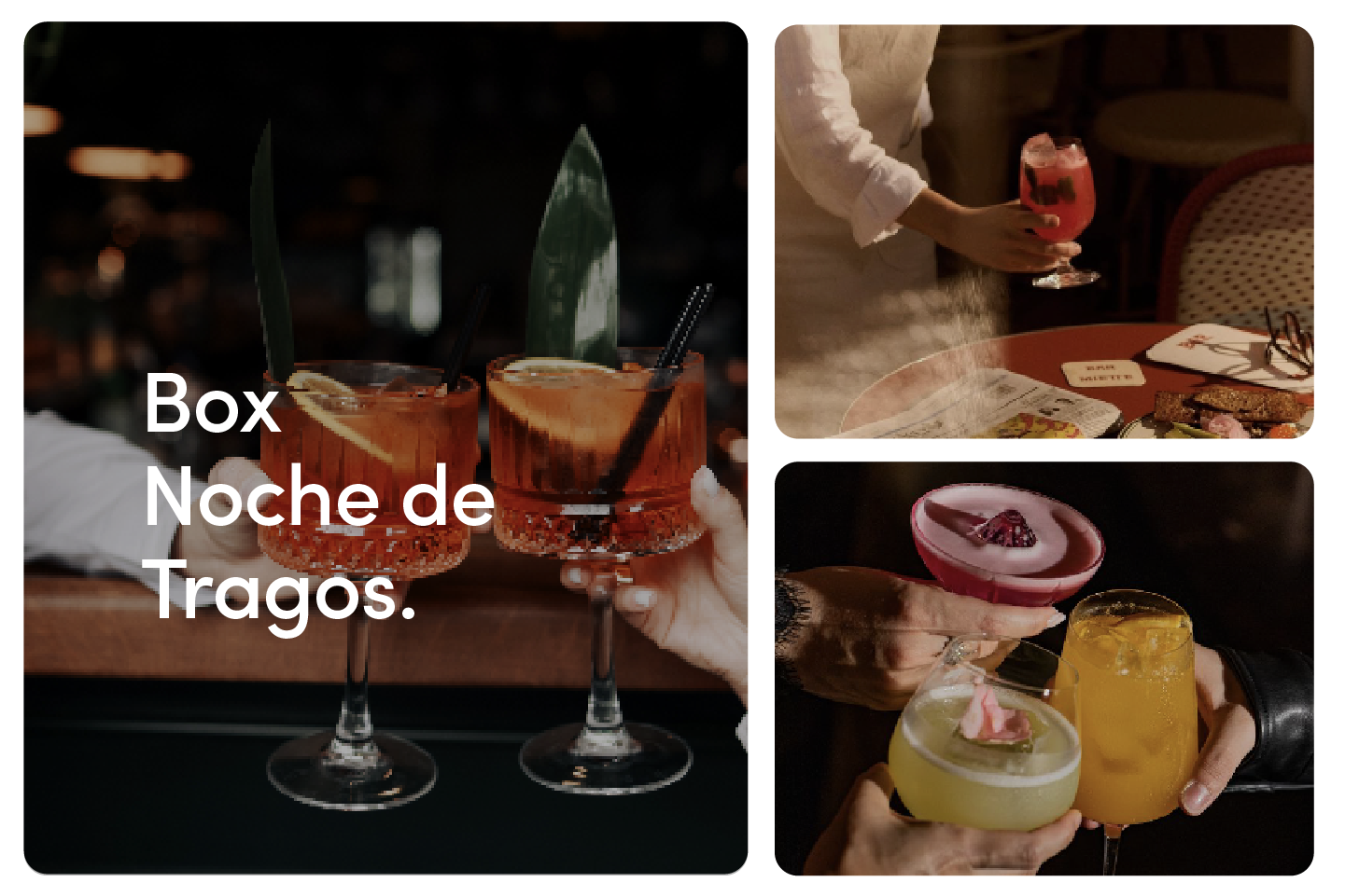 Noche de Tragos