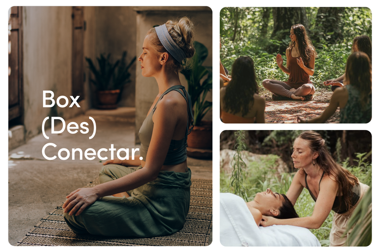 (Des) Conectar