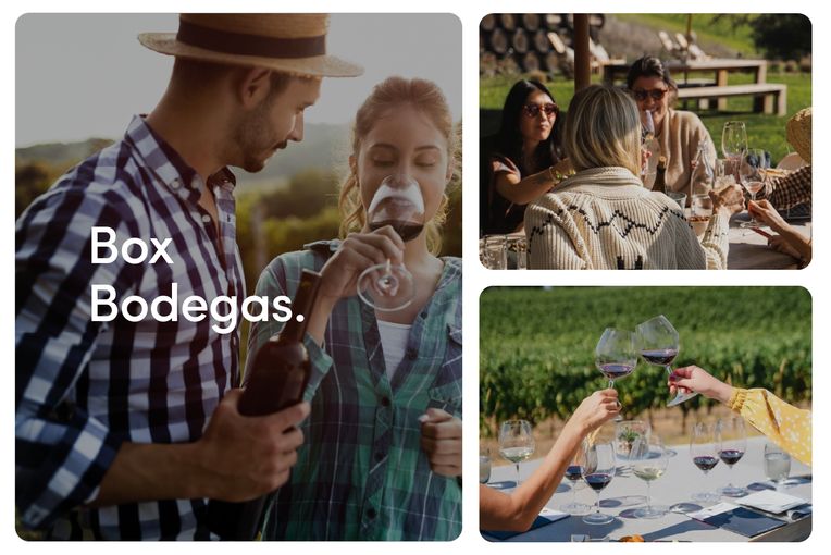 Bodegas