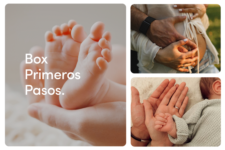 Primeros Pasos