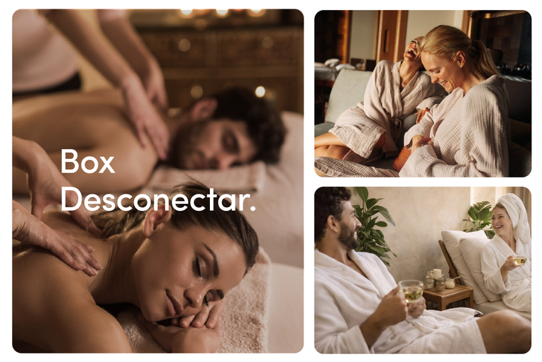 Desconectar