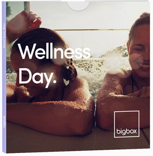 Wellness Day