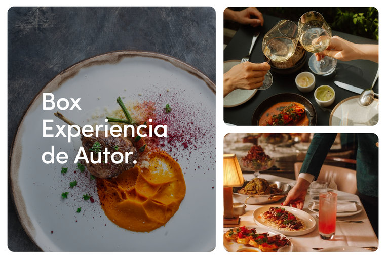 Experiencia de Autor